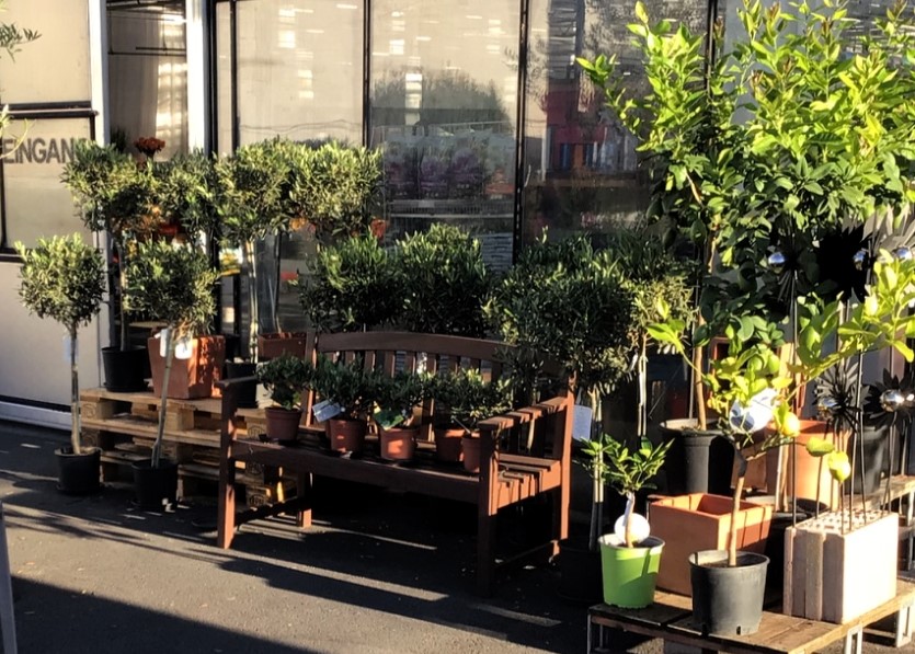 Monheimer Blumenmarkt